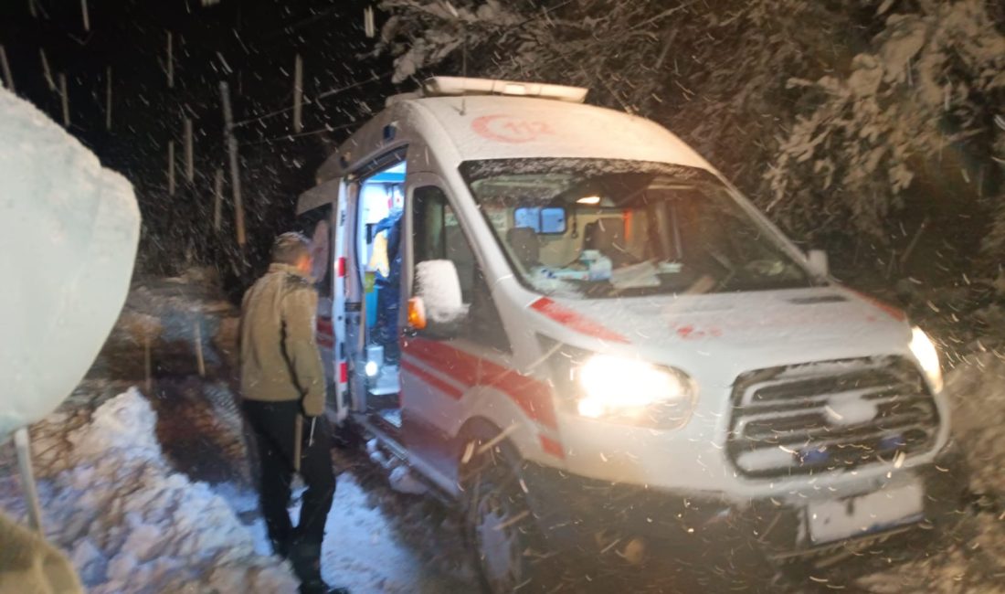 Kar Ve Tipi Alarmı: Büyükşehir Kırsalda Seferber Oldu Malatya genelinde etkili olan yoğun kar yağışı ve tipi nedeniyle