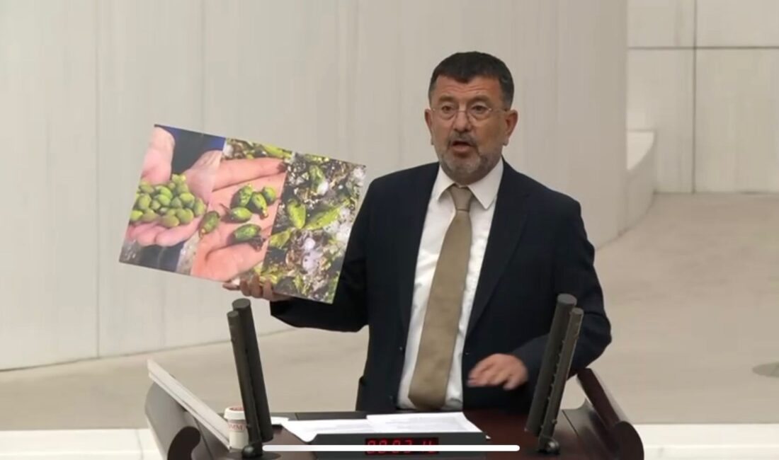 CHP Malatya Milletvekili Veli Ağbaba, dolu ve don felaketlerinin ardından