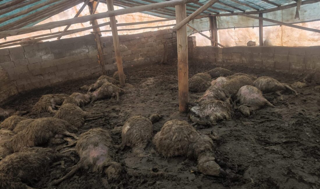 Arguvan ilçesine bağlı Bozburun Mahallesi’nde gece saatlerinde bir kurdun girdiği