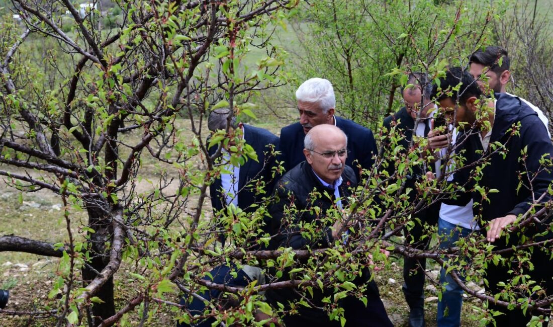 Malatya’da dolu yağışından etkilenen ilçelerde incelemelerde bulunan Büyükşehir Belediye Başkanı