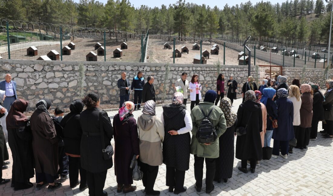 Battalgazi Belediyesi’nin son 24 ayda hayata geçirdiği proje ve yatırımlar,