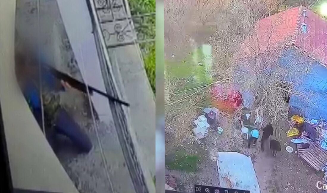 Malatya’nın Yeşilyurt ilçesinde komşular arasında çıkan tartışma tüfekli saldırıya dönüştü.