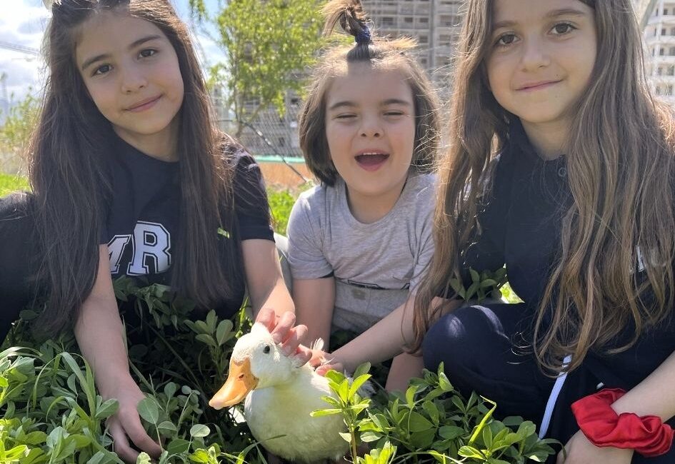 Mercan Koleji’nde uygulanan hayvan destekli eğitim modeliyle öğrenciler sevgi, merhamet