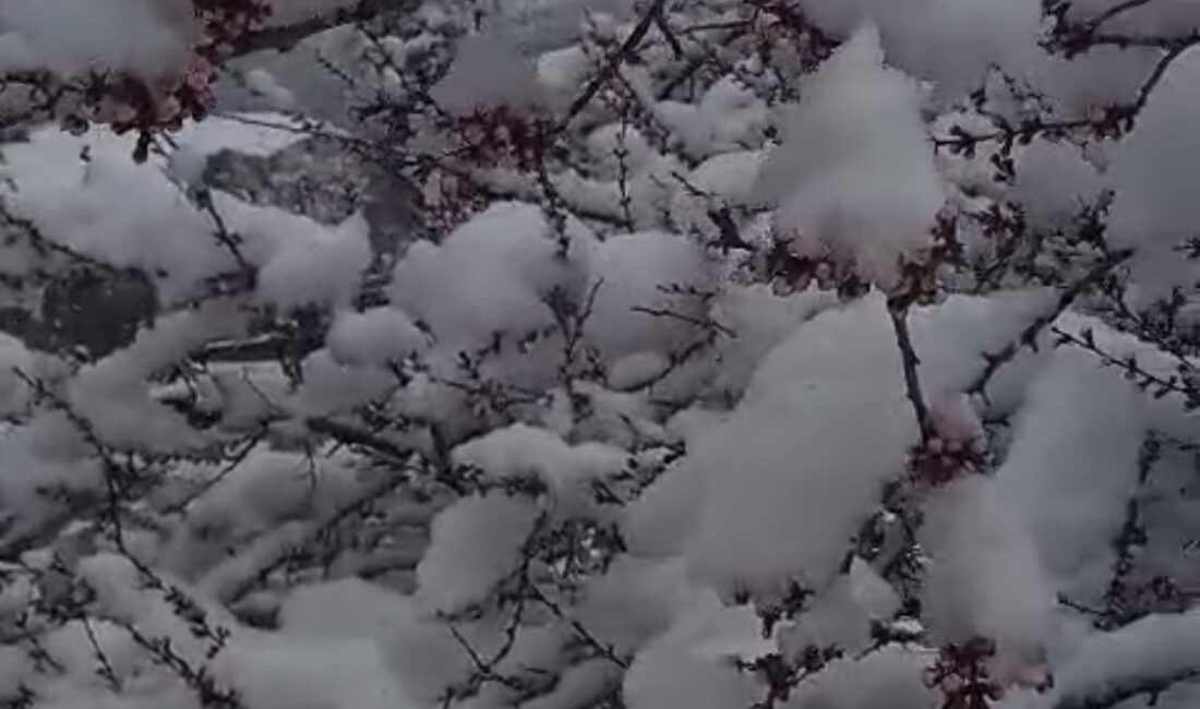Doğanşehir ilçesine bağlı Sürgü Mahallesi’nde, ilkbahar ortasında etkili olan kar