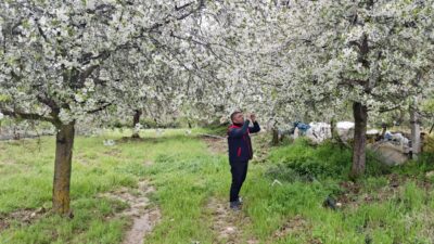 Afyonkarahisar’da zirai don riskine karşı tarım arazilerinde saha kontrolleri hız