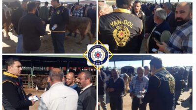 Malatya’da Kurban Bayramı öncesi yoğunluğun yaşandığı canlı hayvan pazarında vatandaşların