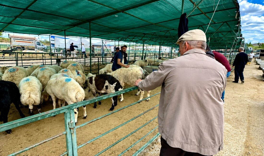 Bayramın üçüncü gününde kurban pazarında satışlar devam ederken, bazı yetiştiriciler