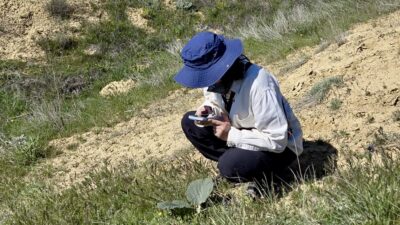 Darende’de yürütülen kapsamlı flora çalışmasıyla bölgenin bitki çeşitliliği kayıt altına