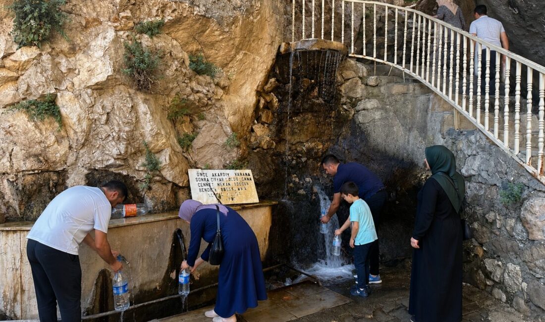 Darende’de bulunan Ilıca Ziyaret Piknik Alanı, doğal güzellikleri, serin pınar
