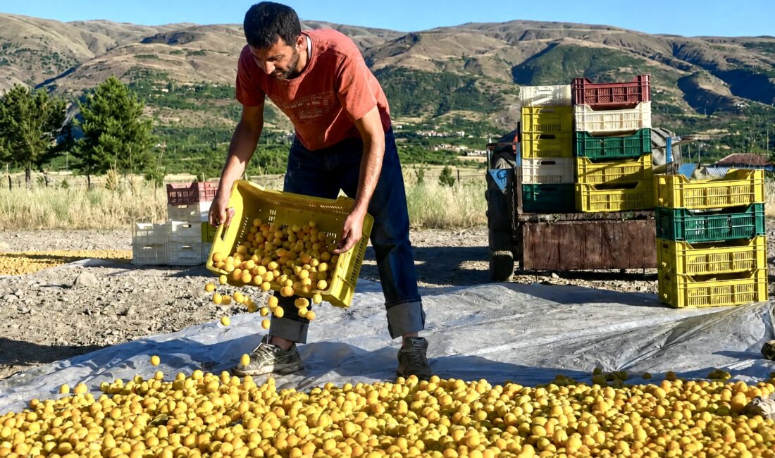 Malatya Ziraat Odaları İl Koordinasyon Başkanı Yunus Kılınç, beraberinde ilçe