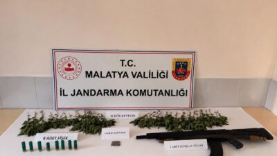 Malatya’nın Doğanşehir ilçesinde jandarma ekiplerince düzenlenen operasyonda 36 kök kenevir