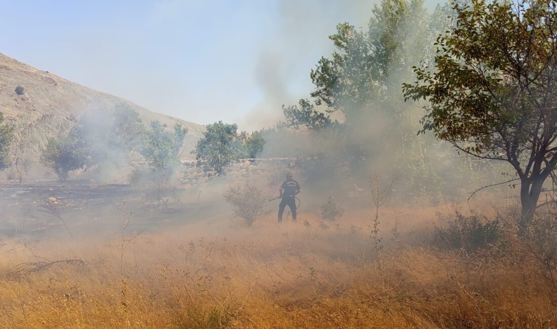Malatya’nın Hekimhan ve Doğanşehir ilçelerinde çıkan iki ayrı yangına itfaiye
