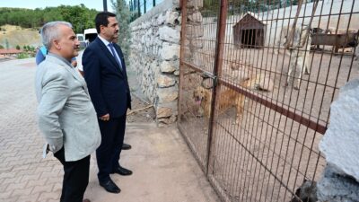 Battalgazi Belediye Başkanı Bayram Taşkın, belediye tarafından Yeniköy Mahallesinde inşa