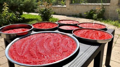Darende’de domates ve biberler, kış hazırlıklarıyla birlikte sofralara uzanan yeni