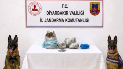 Diyarbakır’ın Lice ve Kulp ilçelerinde 570 jandarma personelinin katılımıyla düzenlenen