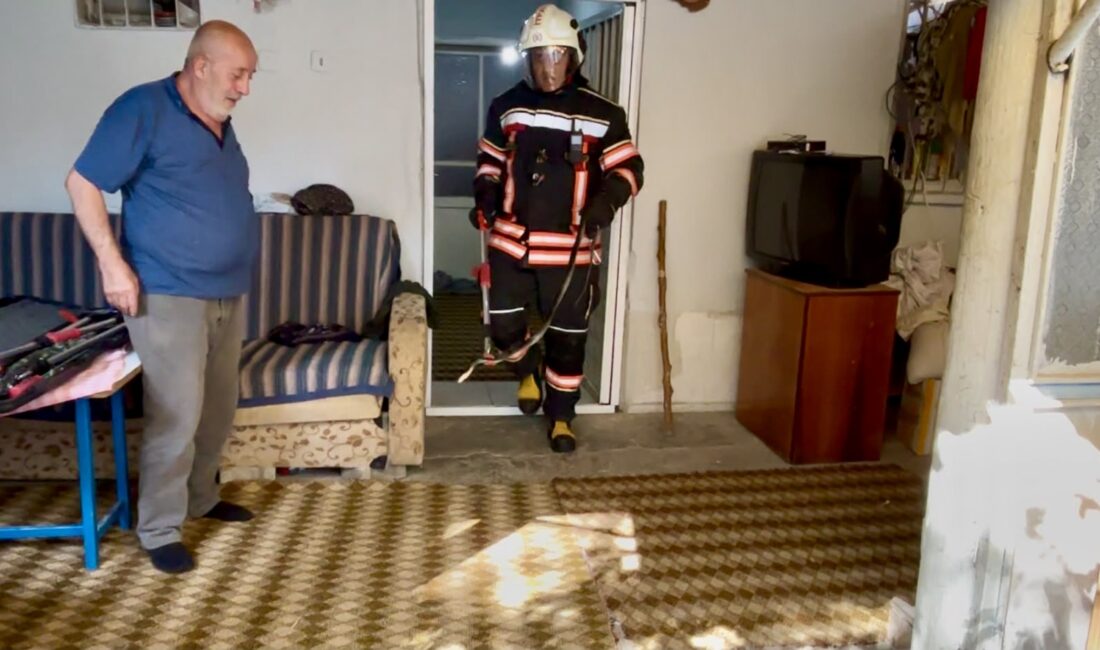 Malatya’nın Yeşilyurt ilçesinde bir eve giren yılan kısa süreli paniğe