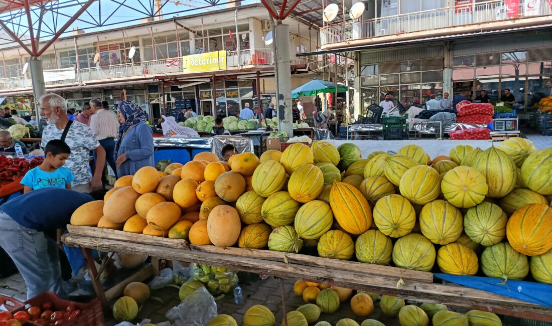 Malatya’nın Darende ilçesinde yetiştirilen Irmaklı kavunu, kendine özgü aromasıyla ilgi