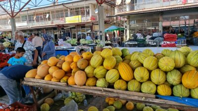 Malatya’nın Darende ilçesinde yetiştirilen Irmaklı kavunu, kendine özgü aromasıyla ilgi