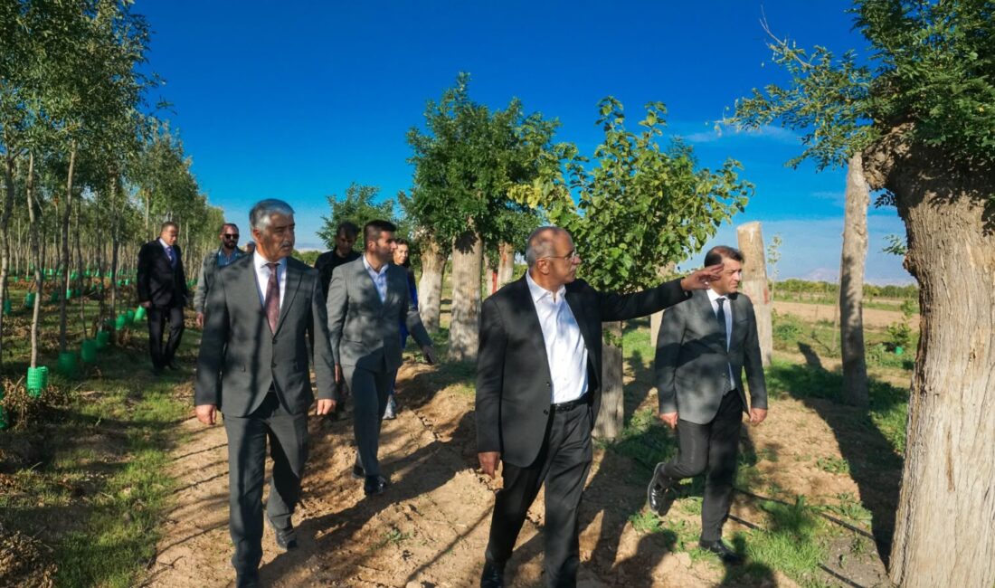 İstanbul’da Ağaç Tartışması, Malatya’da Örnek Uygulama Türkiye Gündeminde İstanbul’da tramvay hattı çalışmaları kapsamında ağaçların kesildiği iddiaları tartışma yaratırken,