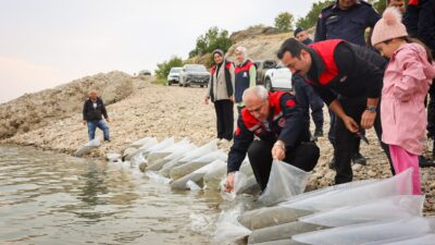 Malatya’da su kaynaklarının korunması ve balık popülasyonunun artırılması amacıyla 6