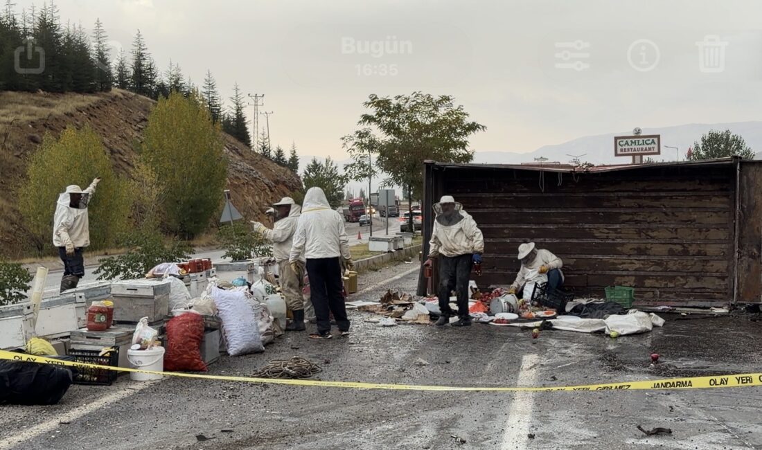 Malatya’da Arı Yüklü Kamyon Devrildi: 3 Yaralı Malatya’nın Doğanşehir ilçesinde bal ve 50 arı kovanı taşıyan kamyonun