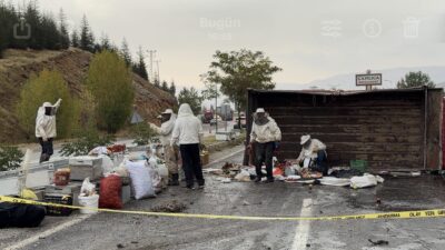 Malatya’nın Doğanşehir ilçesinde bal ve 50 arı kovanı taşıyan kamyonun