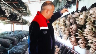 Malatya Tarım ve Orman İl Müdürlüğü ekipleri, Akçadağ ve Doğanşehir