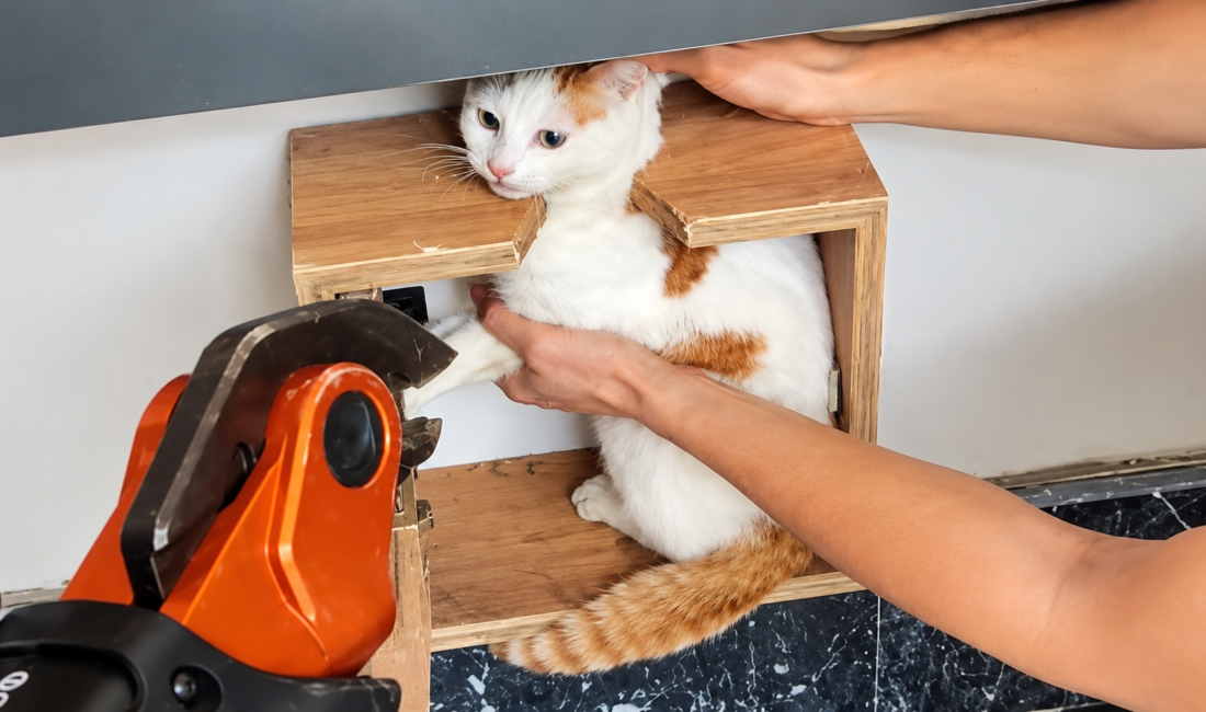 Malatya’da Sıra Dışı Kurtarma: Posta Kutusundan Kedi Çıktı! Malatya’da bir apartmanın posta kutusuna sıkışarak mahsur kalan kedi, itfaiye ekiplerinin müdahalesiyle kurtarıldı. Olay, Battalgazi ilçesine bağlı Göztepe Mahallesi Tutoğlu Sokak’ta meydana geldi. Bir apartmanın posta kutusuna giren kedi, sıkışarak mahsur kaldı. Durumun bildirilmesi üzerine olay yerine Malatya Büyükşehir Belediyesi İtfaiye Daire Başkanlığı ekipleri sevk edildi. Ekipler, kediyi sıkıştığı yerden çıkarmak için kurtarma çalışması başlattı. Kedi güvenli şekilde kurtarıldı İtfaiye ekiplerinin müdahalesiyle posta kutusunda mahsur kalan kedi, bulunduğu yerden güvenli bir şekilde çıkarıldı. Kurtarma çalışması başarılı şekilde tamamlandı.